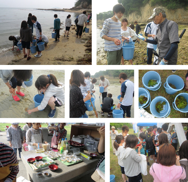 マダイ養殖の給餌と海藻の採集・調理